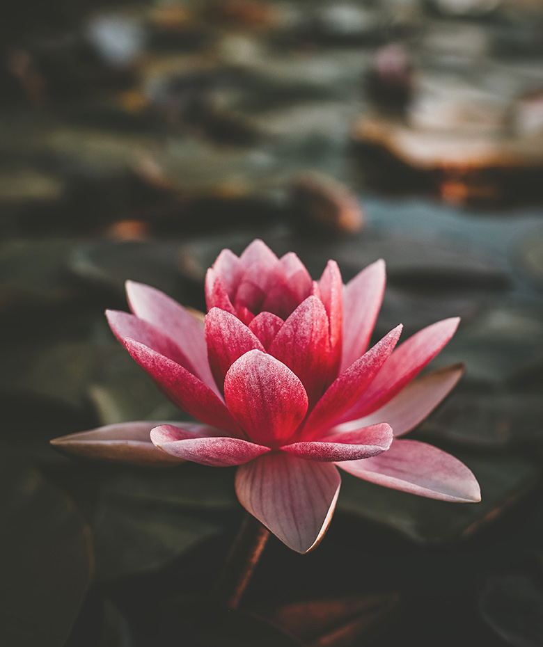 タイ古式マッサージイメージ